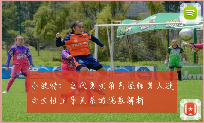 小波特：当代男女角色逆转男人迎合女性主导关系的现象解析